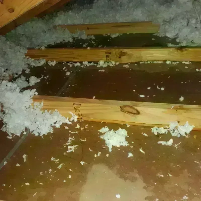 Attic Water Damage in Piqua, OH