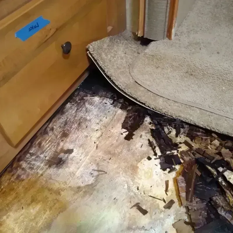 Best Wood Floor Water Damage Service in Piqua, OH